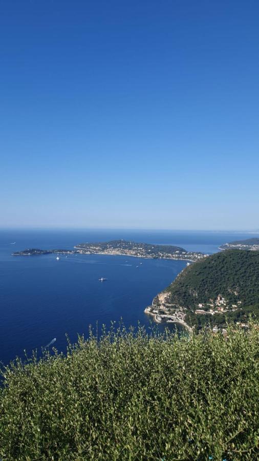 Villa D'Arte Mortola Superiore Esterno foto