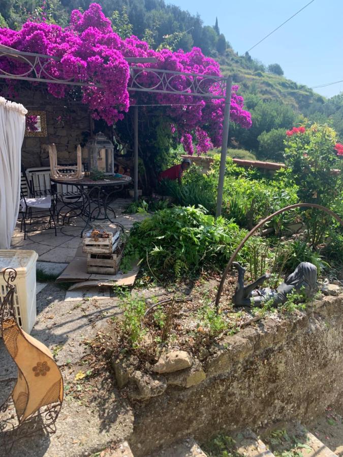 Villa D'Arte Mortola Superiore Esterno foto