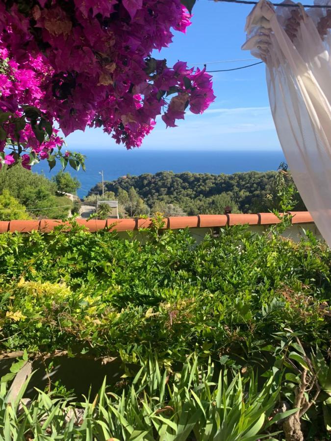 Villa D'Arte Mortola Superiore Esterno foto
