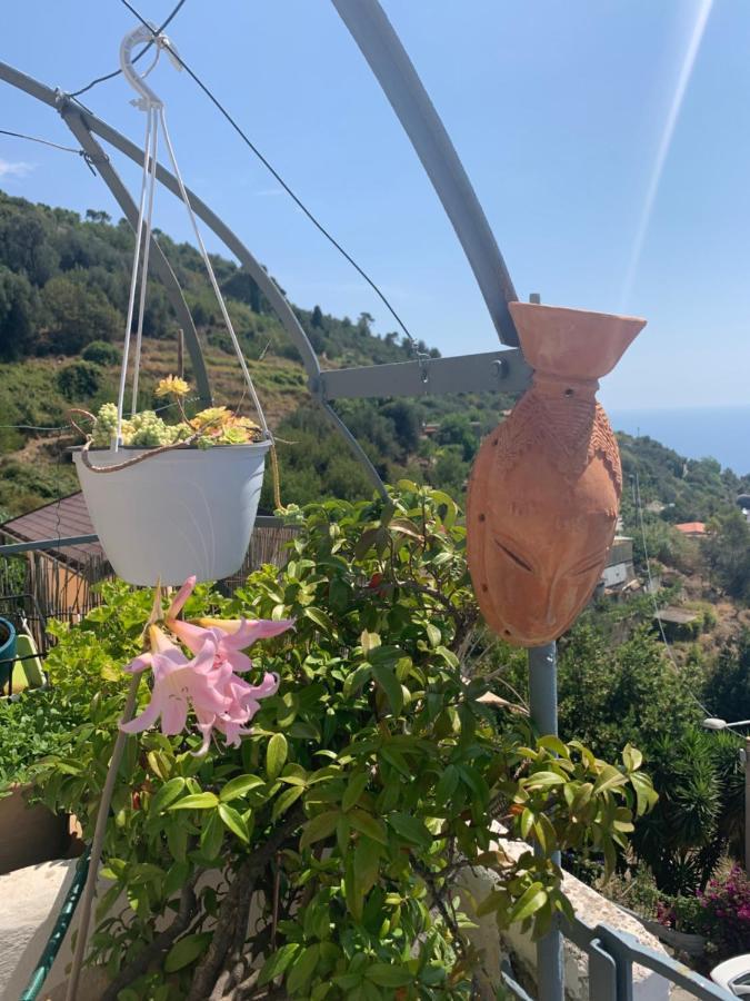 Villa D'Arte Mortola Superiore Esterno foto
