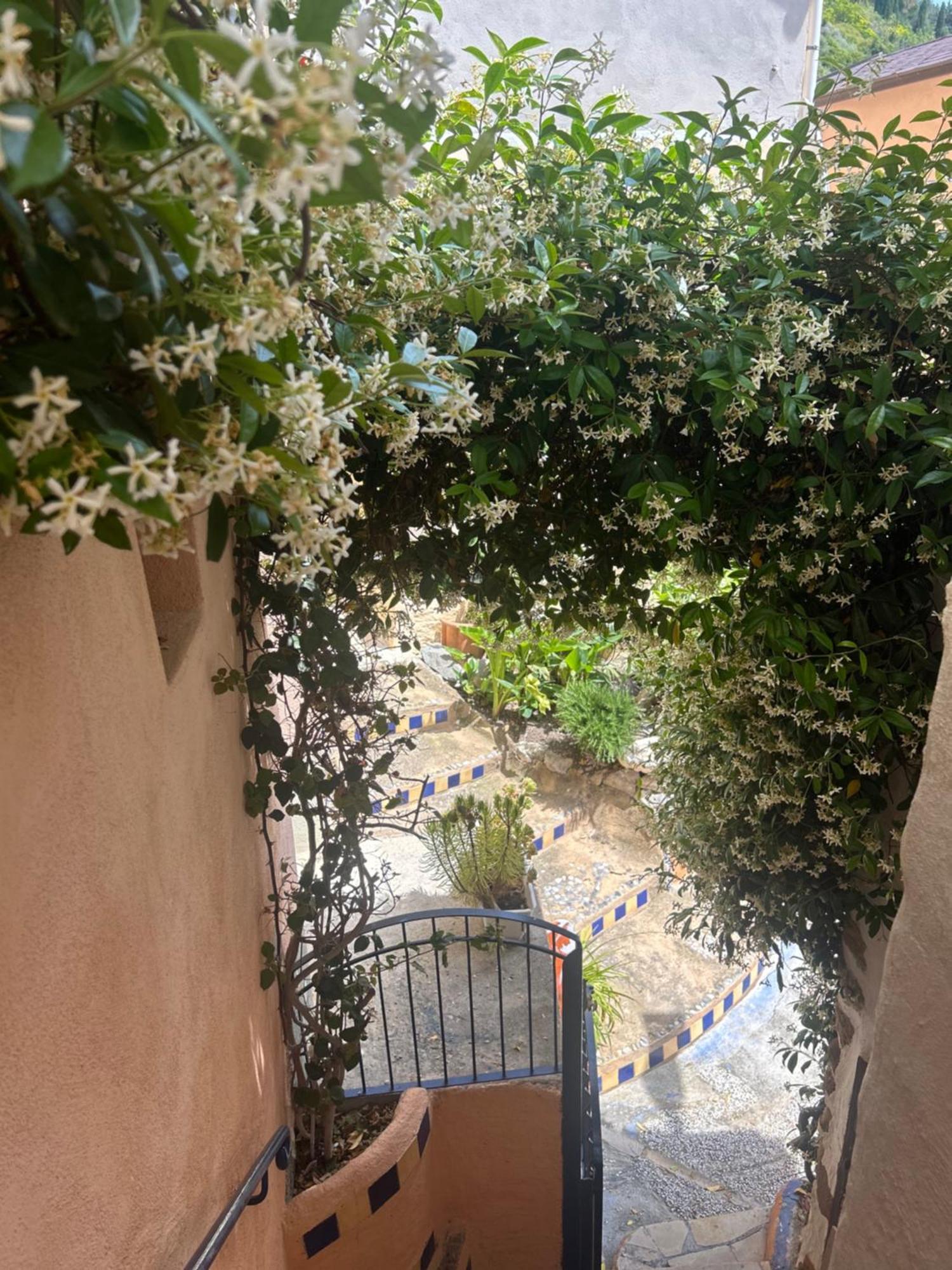 Villa D'Arte Mortola Superiore Esterno foto